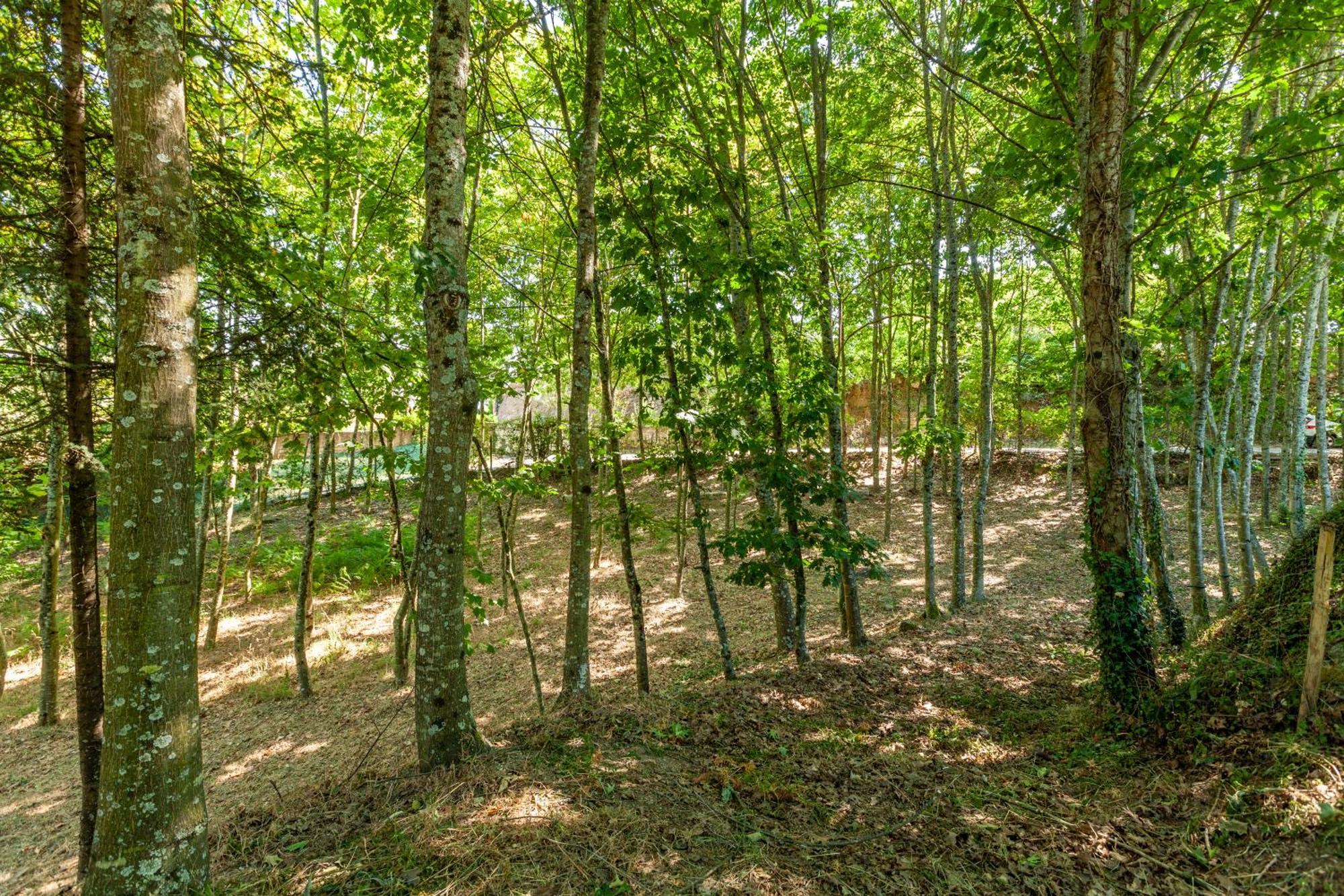 Villas Prendal Eco Living - Minho'S Guest Guimaraes Bagian luar foto